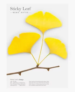 Appree Karteczki samoprzylepne Miłorząb żółty L 85x55 mm i 70x40 mm żółty 3 x 20 kartek - Szkolne artykuły papiernicze - miniaturka - grafika 1