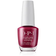 Lakiery do paznokci - WEBHIDDENBRAND Lakier do paznokci Nature Strong 15 ml Cień Raisin Your Voice) - miniaturka - grafika 1
