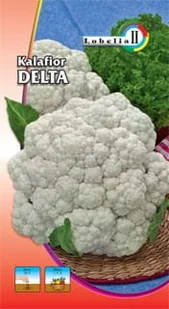 Kalafior Delta 1g / L / - Nasiona i cebule - miniaturka - grafika 1