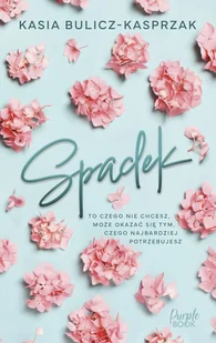Spadek - Literatura obyczajowa - miniaturka - grafika 1