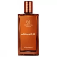 Wody i perfumy męskie - Collistar Aqua Wood Woda toaletowa 50ml - miniaturka - grafika 1