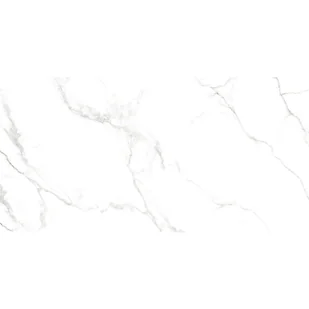 Glazura Luna White carving srebrny 30x60 Euroceramika - Płytki ceramiczne - miniaturka - grafika 1