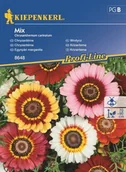 Nasiona i cebule - Kiepenkerl Złocień Chryzantema mieszanka 102054 - miniaturka - grafika 1