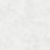 Płytki ceramiczne - Emigres Gres RIGA WHITE 60X60 RL - miniaturka - grafika 1