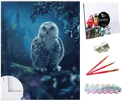 Malowanie po numerach - Zestaw do malowania po numerach, 40x50 cm, Sowa w Tajemniczym Lesie - miniaturka - grafika 1