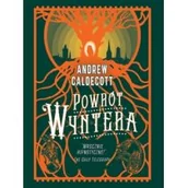 Fantasy - Zysk i S-ka Powrot Wyntera LIT-49214 - miniaturka - grafika 1