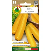 Nasiona i cebule - Dynia zwyczajna Cukinia Goldena nasiona Pnos - miniaturka - grafika 1