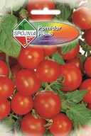Nasiona i cebule - Pomidor gruntowy Pokusa 0.5 g Spójnia - miniaturka - grafika 1