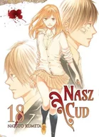 Komiksy dla młodzieży - Nasz Cud Tom 18 - miniaturka - grafika 1