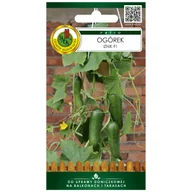 Nasiona i cebule - Ogórek Iznik nasiona 10szt. Pnos - miniaturka - grafika 1