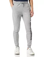 Spodnie męskie - ALPHA INDUSTRIES Big Letters Jogger spodnie męskie, 17-Grey Heather, 3XL - miniaturka - grafika 1