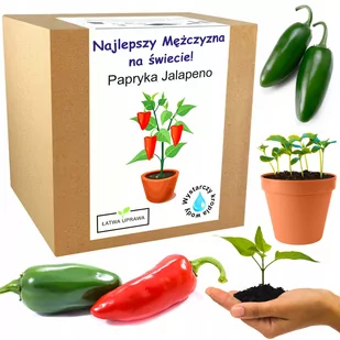 Papryka Jalapeno Chili prezent dla niego chłopaka - Nasiona i cebule - miniaturka - grafika 1
