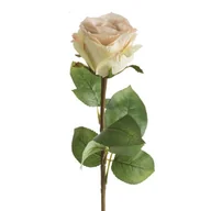 Sztuczne kwiaty - Eurofirany, Kwiat dekoracyjny, KW/NATU/437/K K+J.BE - miniaturka - grafika 1