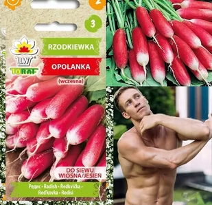 Rzodkiewka Opolanka - Wczesna, Plenna, Nasiona - Nasiona i cebule - miniaturka - grafika 1
