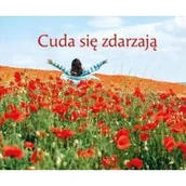 Aforyzmy i sentencje - Perełka 323 - Cuda się zdarzają - miniaturka - grafika 1