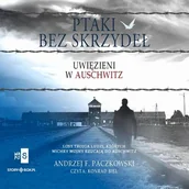 Audiobooki - literatura piękna - Ptaki bez skrzydeł - miniaturka - grafika 1