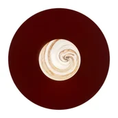 Lampy ścienne - Kinkiet/plafon PIAVA 8446 - Argon - miniaturka - grafika 1