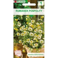 Nasiona i cebule - Rumianek pospolity W.Legutko - miniaturka - grafika 1