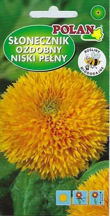 Słonecznik ozdobny niski pełny żółty 2 g POLAN - Nasiona i cebule - miniaturka - grafika 1