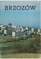 Felietony i reportaże - Brzozów Zarys Monograficzny - miniaturka - grafika 1