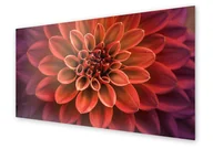 Dekoracje domu - Panel kuchenny HOMEPRINT Makro kwiat dalii 125x50 cm - miniaturka - grafika 1