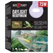 Akcesoria do terrarium - Repti Planet RP Żarówka Daylight Neodymium 75W - miniaturka - grafika 1