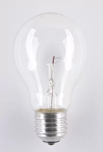 Helios Żarówka wysokotemperaturowa 24V 25W E27/27Al A55CL 1CT/100 1000h Soleo WST-2658 WST-2658 - Akcesoria i części AGD - miniaturka - grafika 1