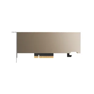Karta Graficzna PNY Nvidia A2 16GB GDDR6 | TCSA2MATX-PB - Karty graficzne - miniaturka - grafika 1