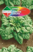 Nasiona i cebule - NASIONA Szpinak Olbrzym Zimowy 20g SPÓJNIA 331356 - miniaturka - grafika 1