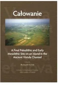 Publicystyka - Całowanie. A Final Paleolithic and Early Mesolithic Site on an Island in the Ancient Vistula Channel - miniaturka - grafika 1