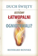 E-booki - religia - Duch Święty. Jesteśmy łatwopalni czy ogniotrwali? - miniaturka - grafika 1