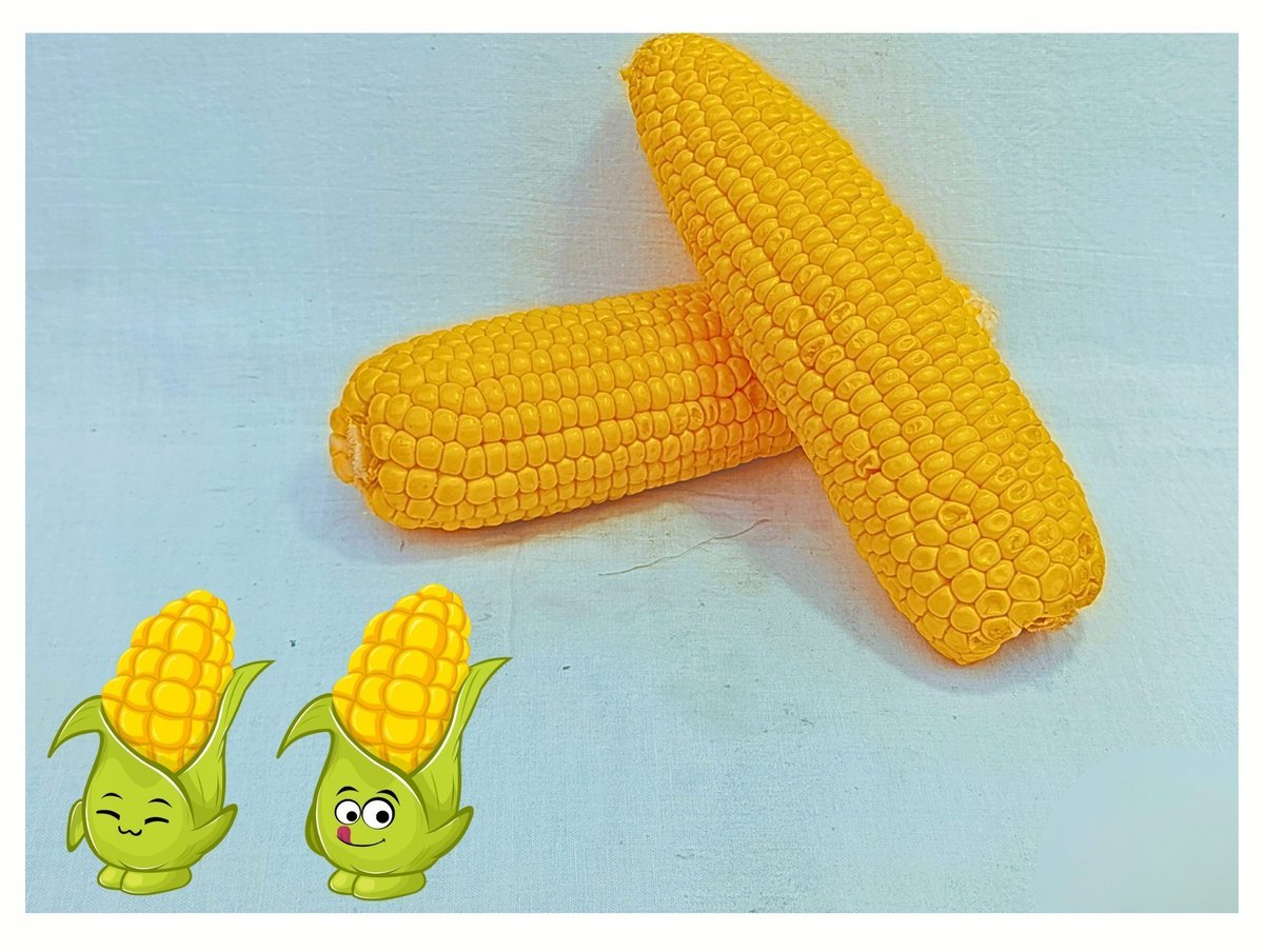 HORTEX Kukurydza 2,5kg