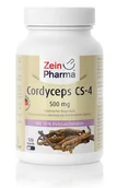 Suplementy naturalne - Zein Pharma - Kordyceps, Cordyceps CS-4, 500mg, 120 kapsułek - miniaturka - grafika 1