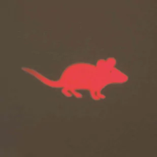 Trixie Wskaźnik Laserowy LED mysz plastik 11 cm - Zabawki dla kotów - miniaturka - grafika 1