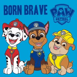 MAGICZNY RĘCZNIK ręczniczek PSI PATROL 30x30 - Okrycia kąpielowe dla dzieci - miniaturka - grafika 1