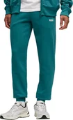 Spodnie sportowe męskie - Puma Spodnie męskie Puma Ess 2 Color No.1 Logo zielone 684714 41 M - miniaturka - grafika 1