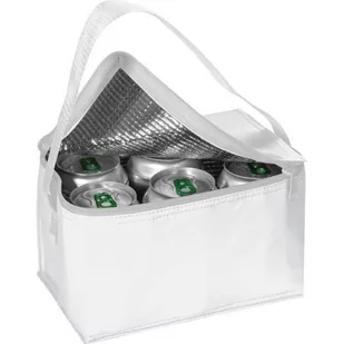 Torba termiczna na 6 puszek 330 ml ASPEN - Torby termiczne - miniaturka - grafika 1