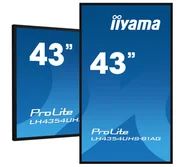 Monitory reklamowe i wyświetlacze - IIYAMA Monitor 43 cale LH4354UHS-B1G 24/7, IPS, ANDROID.11, 4K, SDM, 2x10W - miniaturka - grafika 1