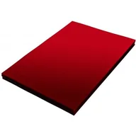 Okładki do laminatorów i bindownic - Okładka foliowa do bindowania A4 NATUNA czerwona przezroczysta 0,20mm (100szt) - miniaturka - grafika 1