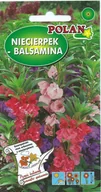 Nasiona i cebule - Niecierpek Balsamina mieszany 2 g POLAN - miniaturka - grafika 1