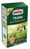 Trawy i trawniki - Substral SUBSTRAL Trawa samo zagęszczająca uniwersalna 1kg - miniaturka - grafika 1