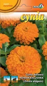 Nasiona i cebule - Cynia daliowa pomarańczowa 1g / L / - miniaturka - grafika 1