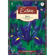 Nasiona i cebule - Irys Holandica Blue Magic 8 sztuk Eden - miniaturka - grafika 1