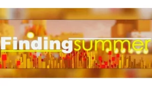 Finding summer (PC) Klucz Steam - Gry PC Cyfrowe - miniaturka - grafika 1