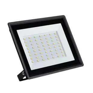 Naświetlacz LED GRUN NV 50 W - Oprawy, klosze i abażury - miniaturka - grafika 1