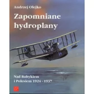 Historia świata - ZP Wydawnictwo Zapomniane hydroplany - Andrzej Olejko - miniaturka - grafika 1