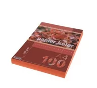 Papier do drukarek - KRESKA L Papier xero A4 160g pomarańczowy 100ark - miniaturka - grafika 1