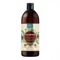 Barwa MAGIA ZIÓŁ SZAMPON-SKRZYP POLNY 450ml - Szampony do włosów - miniaturka - grafika 1