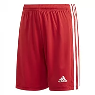 Spodnie i spodenki dla chłopców - adidas adidas Chłopięce Squad 21 Sho Y krótkie spodnie Team Power czerwony/biały 8 Years GN5761 - miniaturka - grafika 1