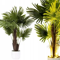 Sztuczne kwiaty - Sztuczna palma duża wysoka roślina dekoracyjna LED drzewko kwiat 104 cm - miniaturka - grafika 1